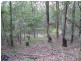 Cedar Vale QLD 4285