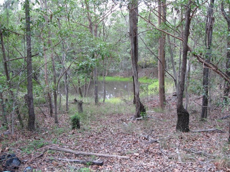 Cedar Vale QLD 4285