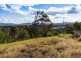 Veresdale Scrub QLD 4285