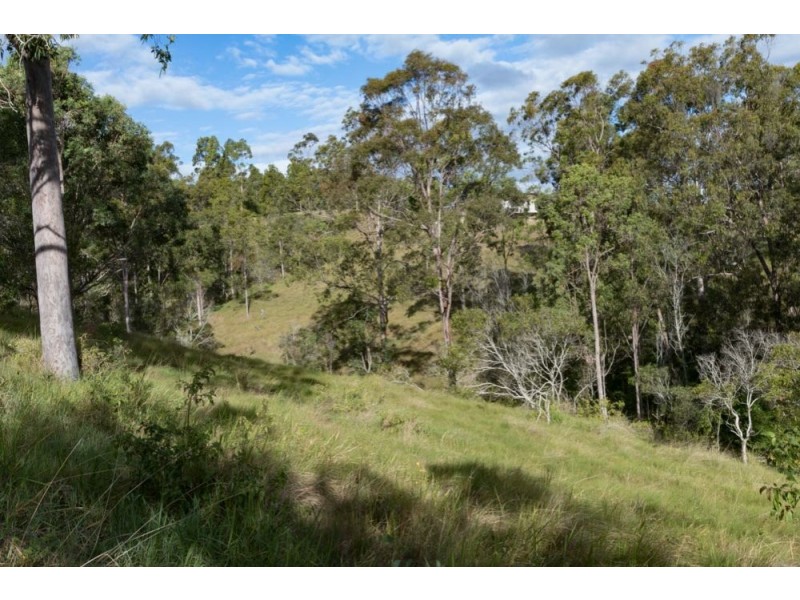 Veresdale Scrub QLD 4285