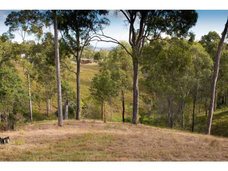 Veresdale Scrub QLD 4285