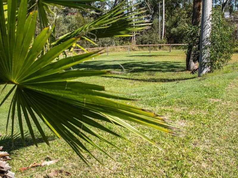 22 Brown Beech Dr, Jimboomba QLD 4280