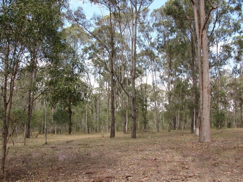 28 Strawpocket Ct, Jimboomba QLD 4280