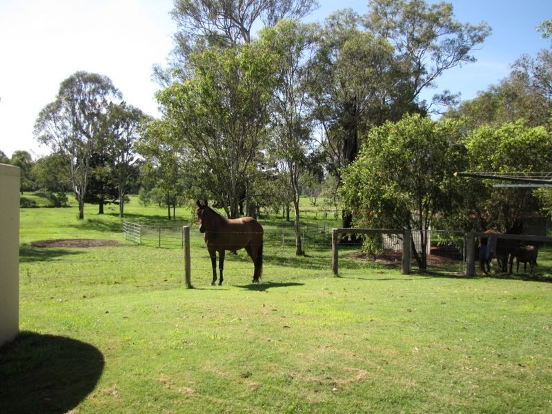 Cedar Vale QLD 4285