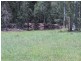 Jimboomba QLD 4280