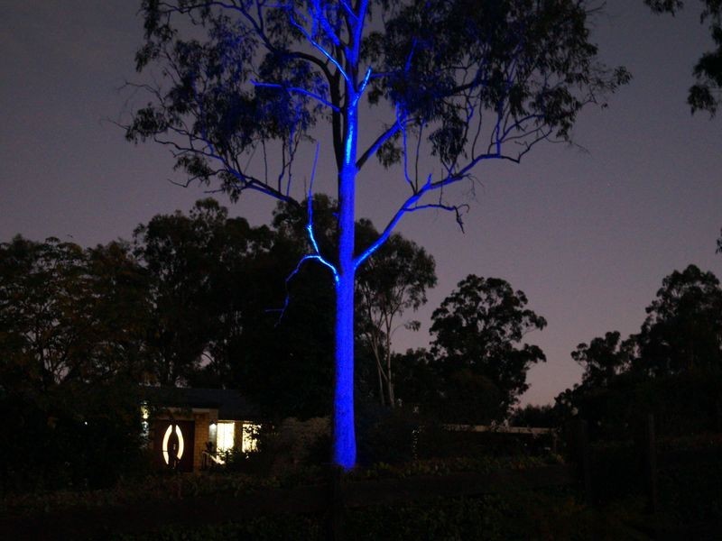 Jimboomba QLD 4280