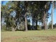 Jimboomba QLD 4280