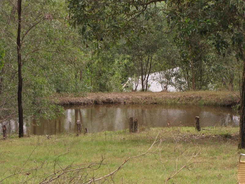 Cedar Vale QLD 4285