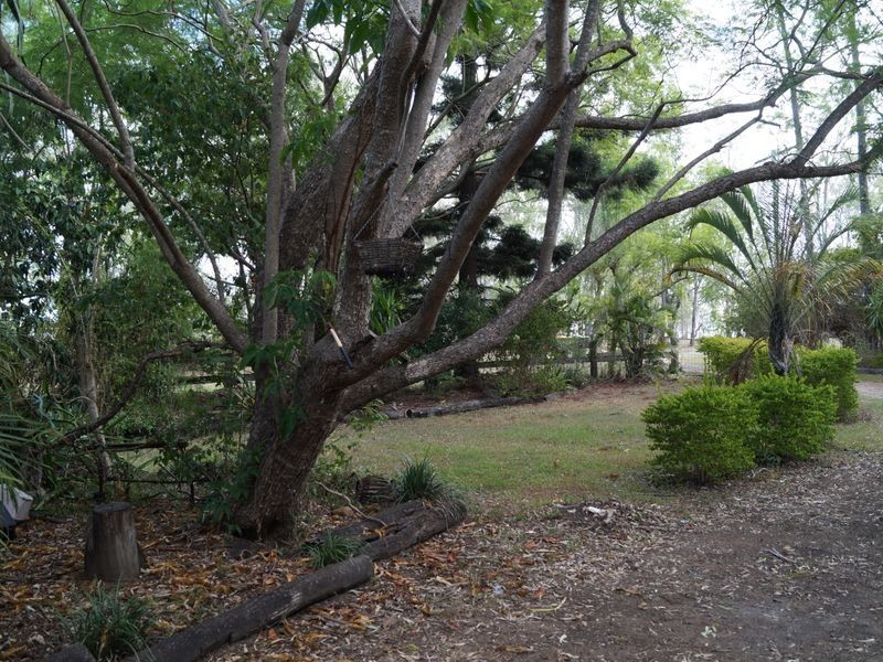 North Maclean QLD 4280