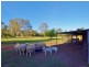 Mundoolun QLD 4285