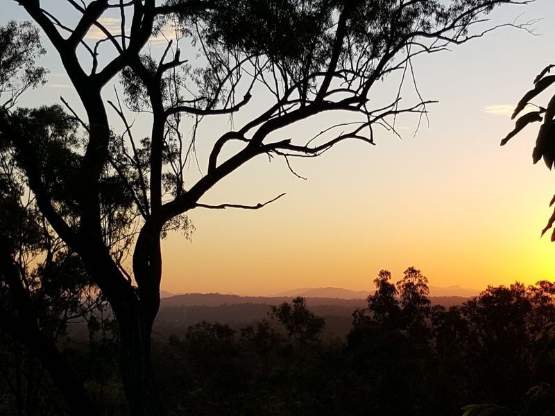 Jimboomba QLD 4280