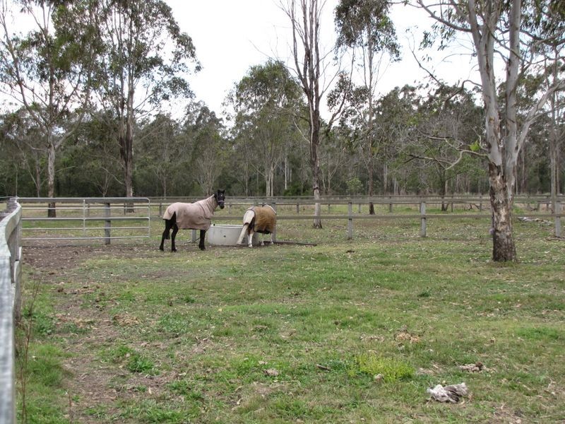 North Maclean QLD 4280