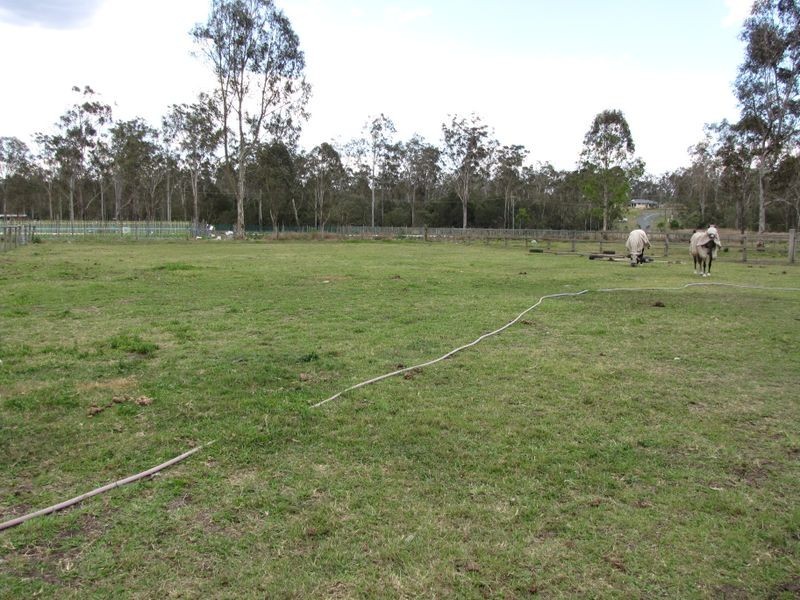 North Maclean QLD 4280