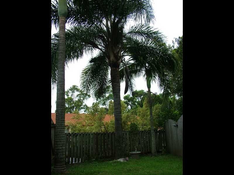 16/4 Sherwood Close, Mudgeeraba QLD 4213