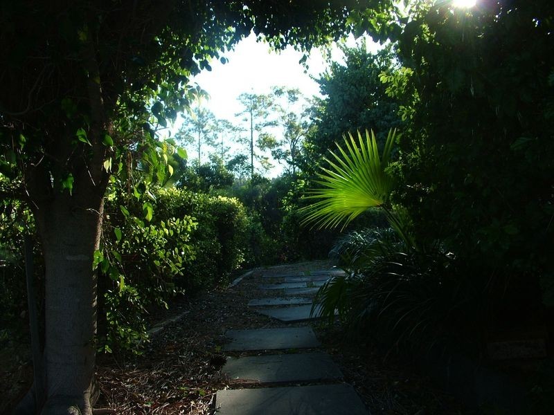 24 Midway Terrace, Pacific Pines QLD 4211