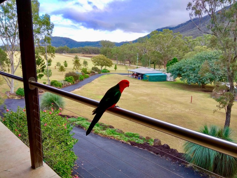 532 Emu Creek Road, Emu Vale QLD 4371