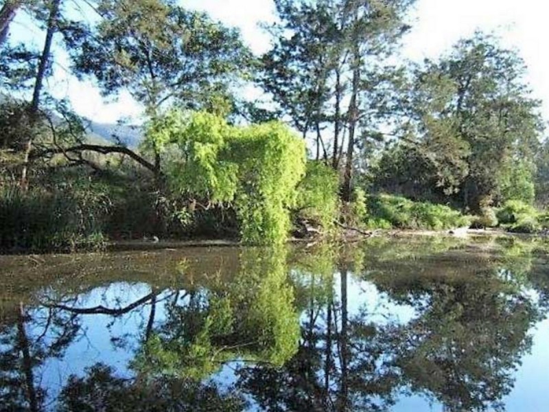 532 Emu Creek Road, Emu Vale QLD 4371