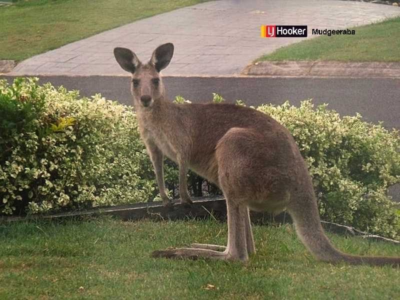 4 Dewar Court, Highland Park QLD 4211