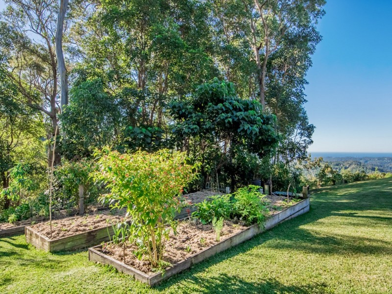 756 Trees Road, Tallebudgera Valley QLD 4228