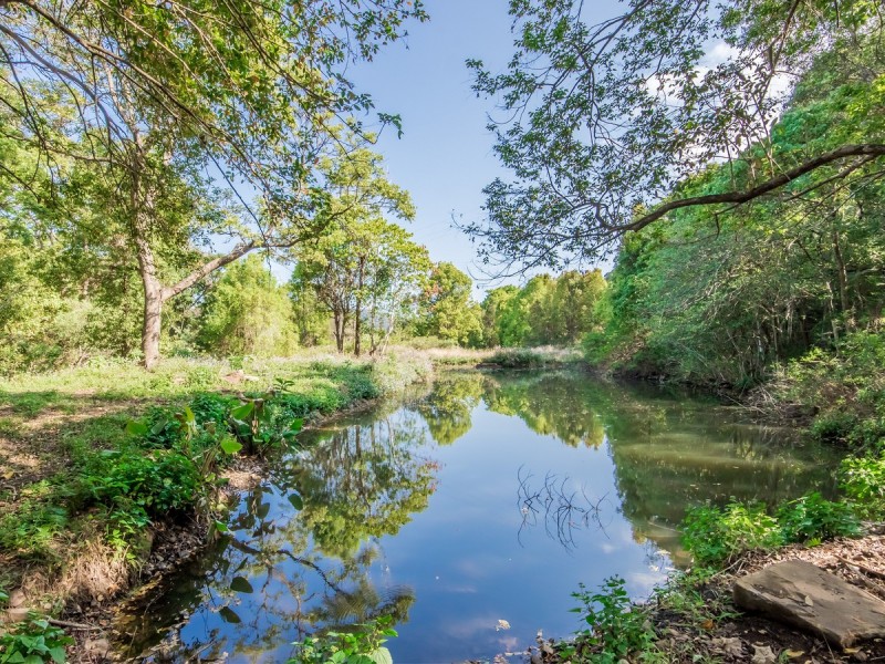 1444 Currumbin Creek Road, Currumbin Valley QLD 4223