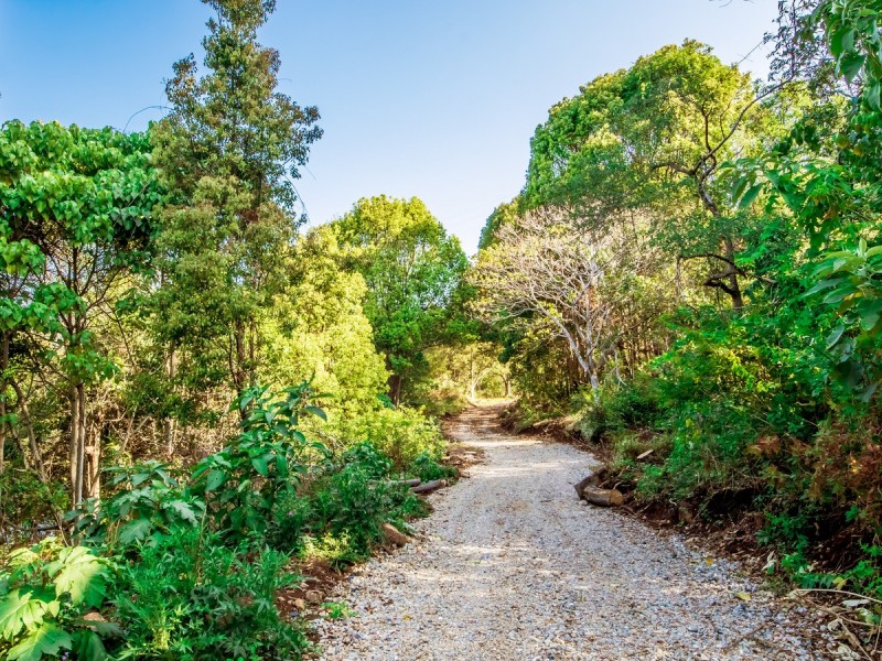 1444 Currumbin Creek Road, Currumbin Valley QLD 4223