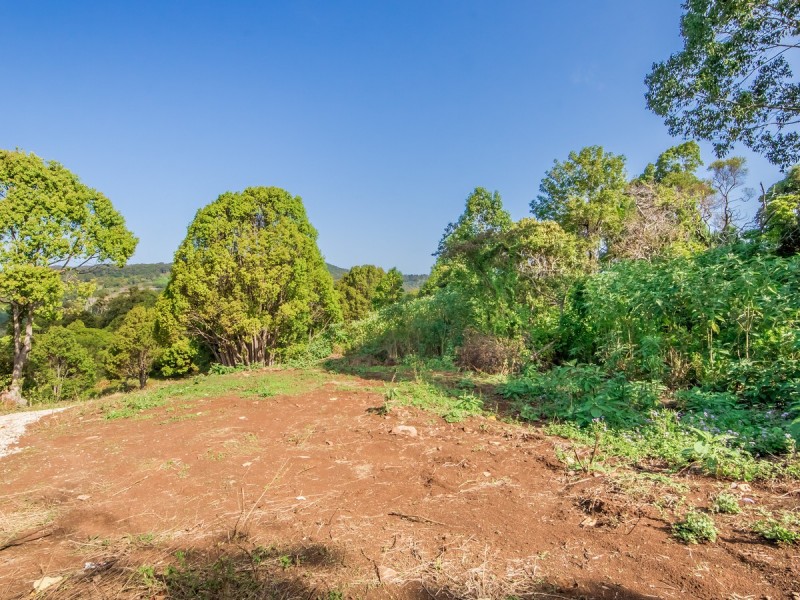 1444 Currumbin Creek Road, Currumbin Valley QLD 4223