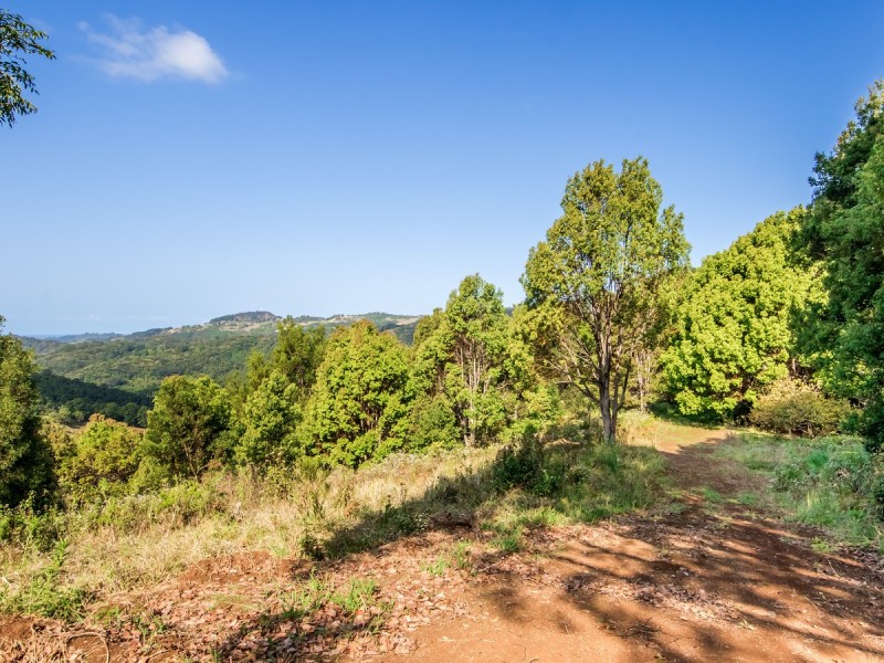 1444 Currumbin Creek Road, Currumbin Valley QLD 4223