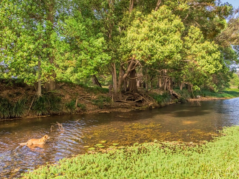 53 Koombahla Drive, Tallebudgera QLD 4228