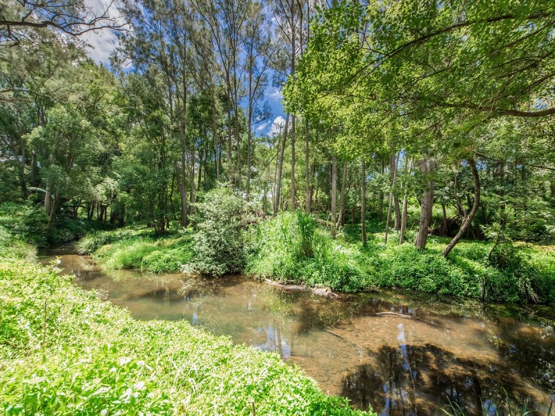 16 Tyalla Court, Tallebudgera QLD 4228