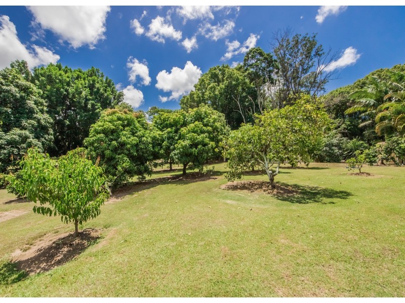 16 Tyalla Court, Tallebudgera QLD 4228
