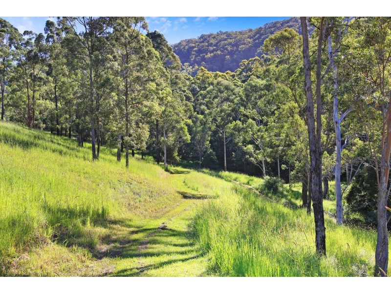 828 Tallebudgera Creek Road, Tallebudgera Valley QLD 4228