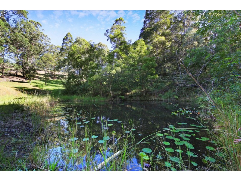 828 Tallebudgera Creek Road, Tallebudgera Valley QLD 4228