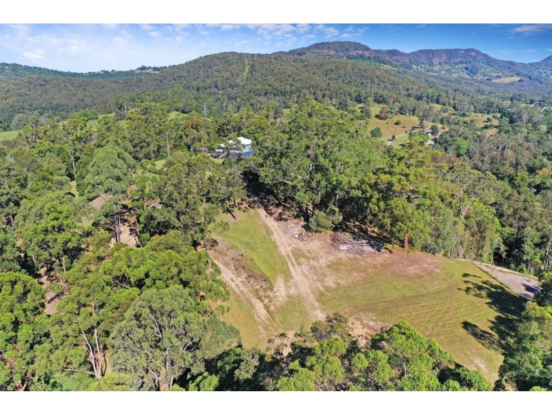 828 Tallebudgera Creek Road, Tallebudgera Valley QLD 4228