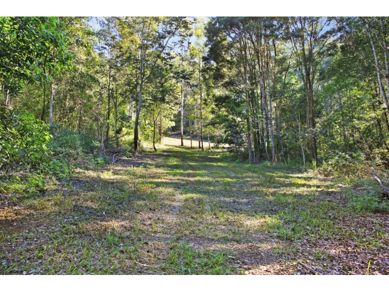 828 Tallebudgera Creek Road, Tallebudgera Valley QLD 4228