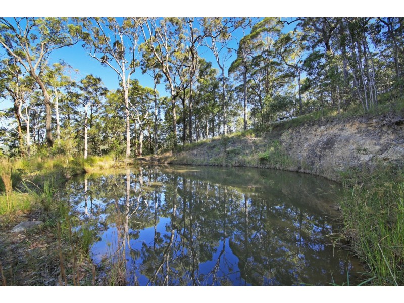 828 Tallebudgera Creek Road, Tallebudgera Valley QLD 4228