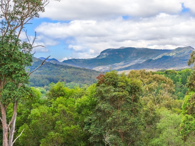 828 Tallebudgera Creek Road, Tallebudgera Valley QLD 4228