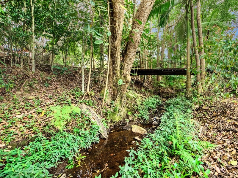 8 Coorabin Court, Tallebudgera QLD 4228