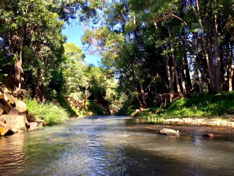 58 Gibsonville Street, Tallebudgera Valley QLD 4228