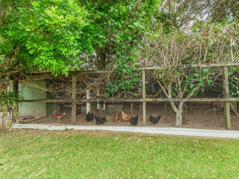 58 Gibsonville Street, Tallebudgera Valley QLD 4228