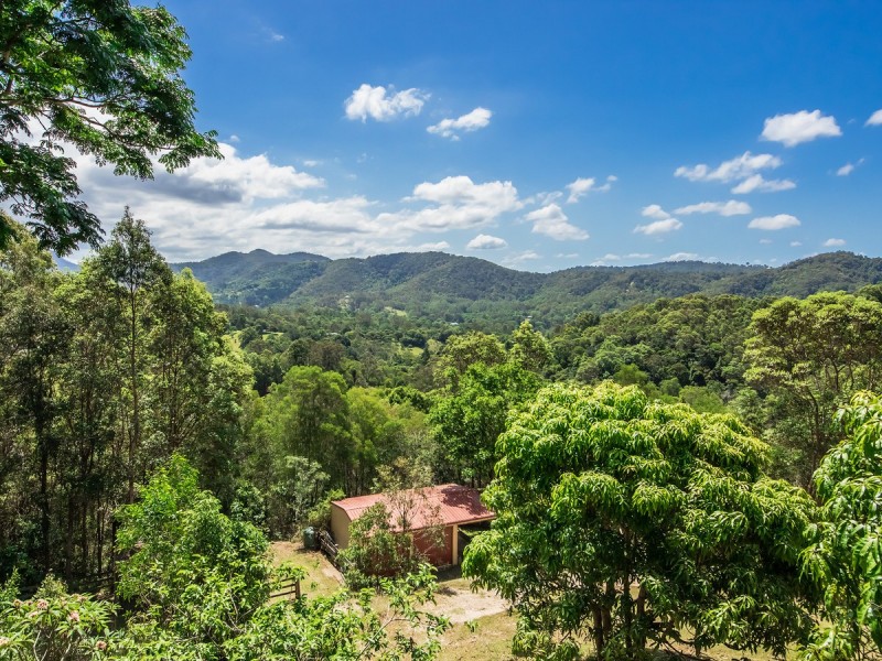 7 Reynella Road, Tallebudgera QLD 4228