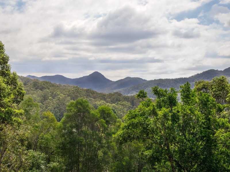 7 Reynella Road, Tallebudgera QLD 4228