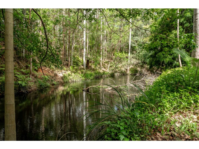 17 Random Way, Worongary QLD 4213