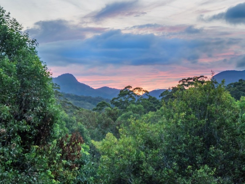 11 Thomas Waters Road, Tallebudgera Valley QLD 4228