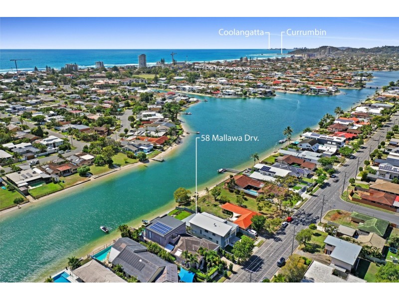 58 Mallawa Drive, Palm Beach QLD 4221