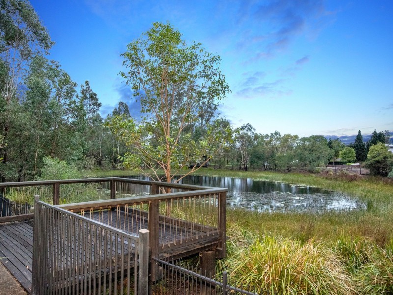 6 Palomar Street, Reedy Creek QLD 4227