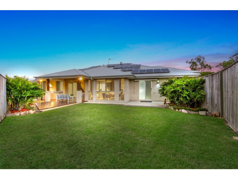 17 Stone Creek Drive, Upper Coomera QLD 4209