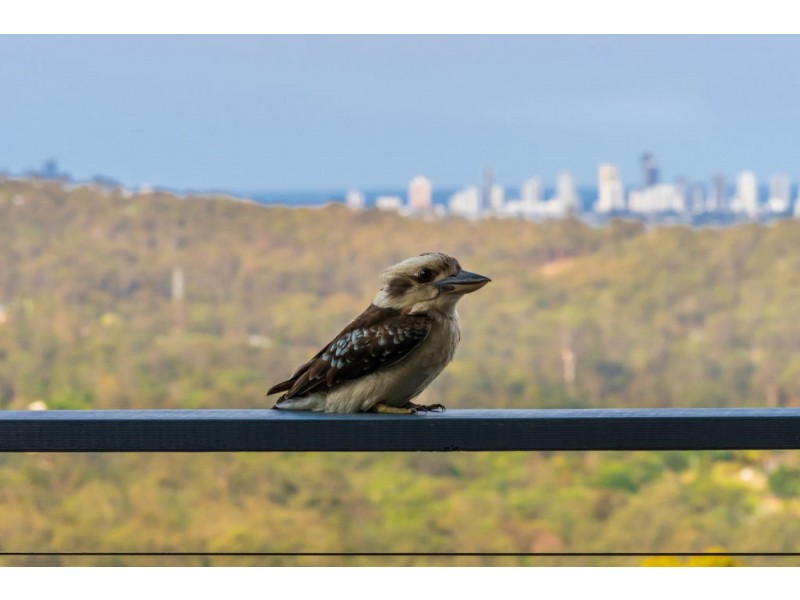 34A Glenrowan Drive, Tallai QLD 4213