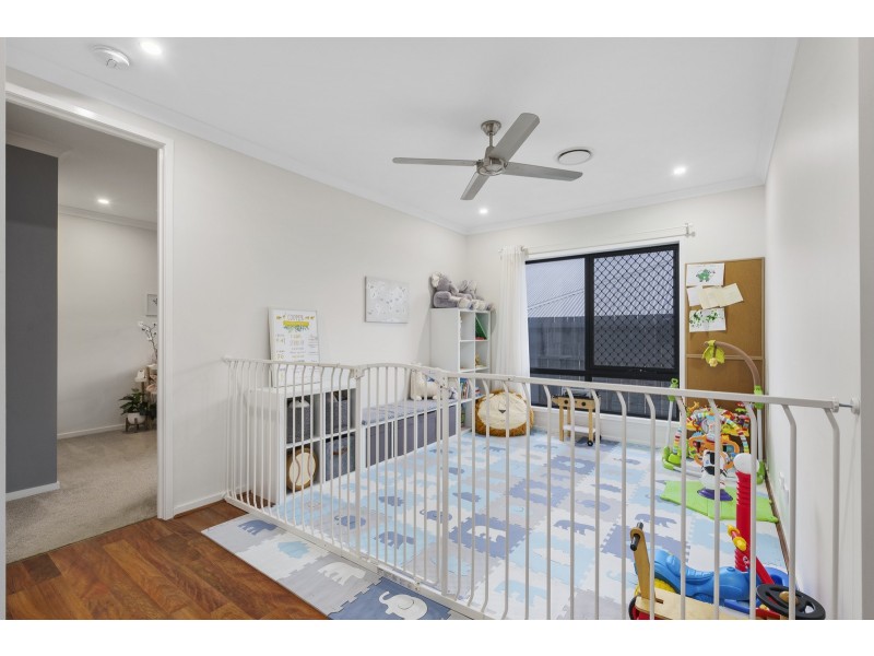 20 Preston Street, Ormeau Hills QLD 4208