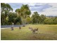 16 Glenrowan Drive, Tallai QLD 4213