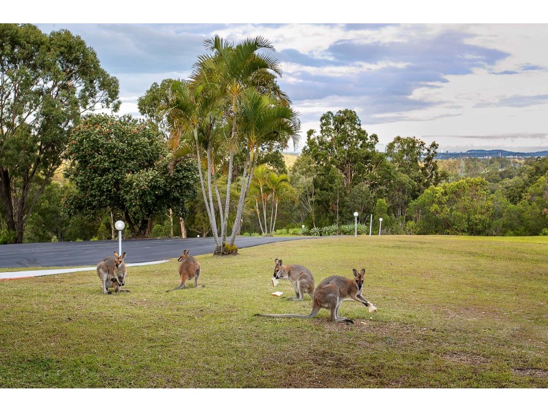 16 Glenrowan Drive, Tallai QLD 4213